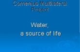 Water, A Source of Life