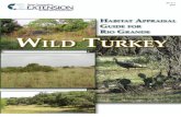 Wild Turkey SP317