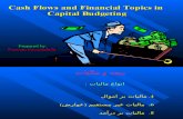 Lecture of Economical Analysis of Projects by Peyman Sazandehchi