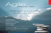 Agile Financial Times - April 2009 Edition