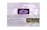 Ashringa: 8 Appendix= the Animal Kinfolk
