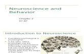 4 Neuroscience and Behavior Chpt 2