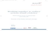 Working together to reduce serious youth violence - WAVE Report 2008