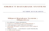 Object Database system