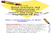 CVS Lect 6 Blood Pressure, Pathophysiology