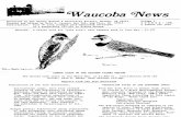 Waucoba News Vol. 5 Summer 1981