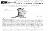 Waucoba News Vol. 7 No. 4 Autumn 1983