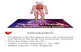 Chapter 8 - Transport in Mammals