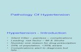 Lecture 29 - Pathology of Hypertension