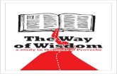 Way of Wisdom (Proverbs Study)