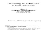Drawing Botanicals, Class 1 :: Drawing