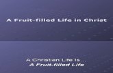 A Fruit-Filled Life in Christ