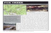 Puyullup Tribe Salmon, Trout Char Report 2005-06 04 Fox Creek to Mowich River