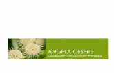 Angela Cesere Landscape Architecture Portfolio