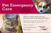 Pet Emergency Care postcard