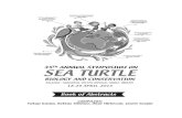 New Observations of Sea Turtle Trade in Alexandria, Egypt