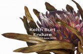Keith Burt : Endure
