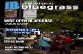 International Bluegrass June 2015
