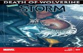 Marvel : Storm *Vol 3 - Issue 004