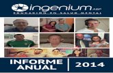 Informe anual Ingenium, ABP 2014