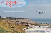 Big Voice Lee on the Solent July 2015