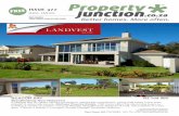 Property Seller Issue 377