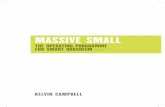 Massive Small: The Operating Programme for Smart Urbanism