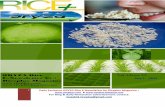7th july (tuesday),2015 daily exclusive oryza e rice newsletter by riceplus magazine