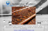 Hydrophobic treatment for wood