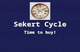 Sekhert cycle products
