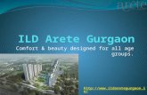 ILD Arete Gurgaon
