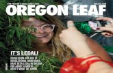 Oregon Leaf -- August 2015