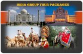 India group tour packages