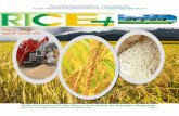 5th august (wednesday),2015 daily exclusive oryza rice e newsletter by riceplus magazine