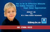BC Branch | Advocacy 101 for the kidney community