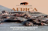 African Safari Guide