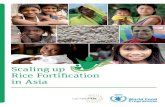 Scaling up Rice Fortification in Asia