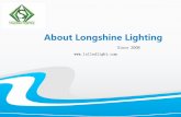 Shenzhen longshine lighting co ,limited introduction
