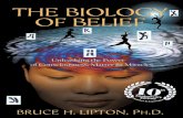 The Biology of Belief - 10th Anniversary Edition