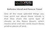Go To Peru - Ballestas Island and Paracas Travel Packages