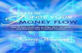 30 days to Ignite Your Money Flow
