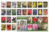 St Mary's ECW Bulb Fundraiser Catalog and Order Form