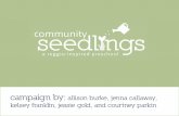Community Seedlings - Public Relations Campaign