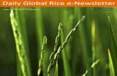 14th october ,2015 daily global regional local rice e newsletter by rice plus magazine