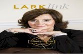 Larklink issue 1 'Mind the Gap'
