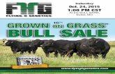 Flying H Genetics Missouri Fall 2015 Bull Sale
