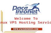 Linux vps hosting provider in indiaLinux VPS Hosting Services Provider in India
