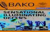 Bako Business November 2015