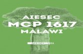 AIESEC in Malawi MCP 16.17 Application