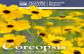 Coreopsis for the Mid-Atlantic Region